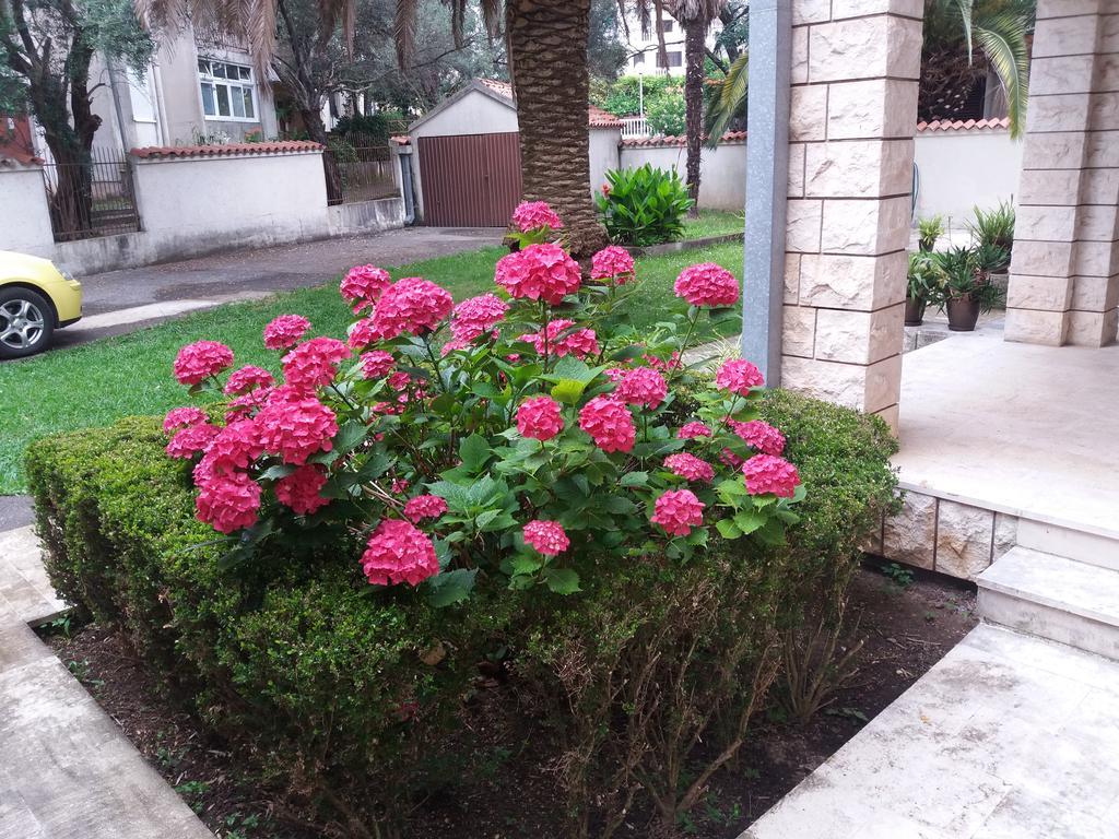 Bravo Apartmani Budva Exterior foto